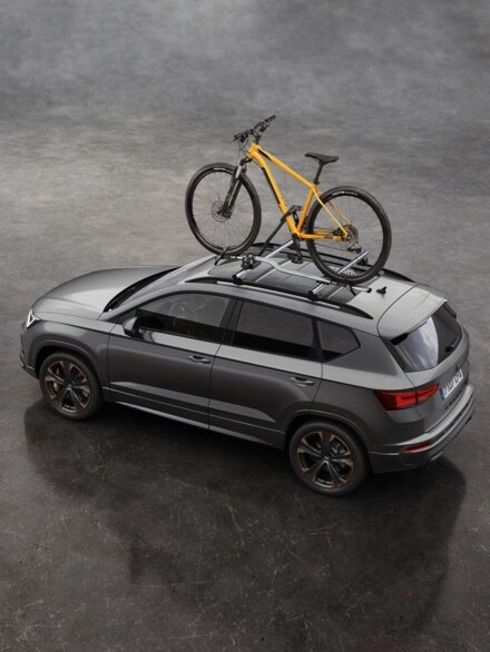 Specially created bike roof rack.